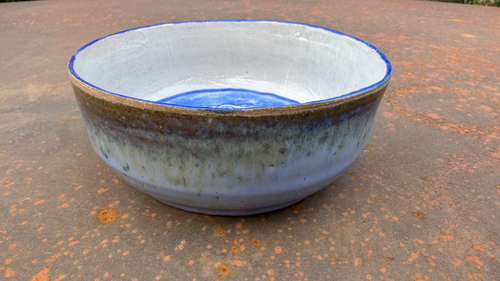 Dapper Croc (Small Bowl)